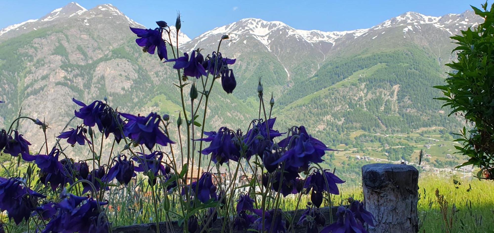 Chalet Schneevogul 그라켄 외부 사진